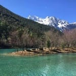 Carolina Sandoval Avatar