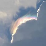 Miranda Báez Avatar