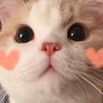 Daniela Solís Avatar