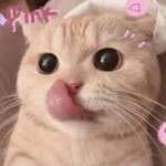 Fernando Torres Avatar